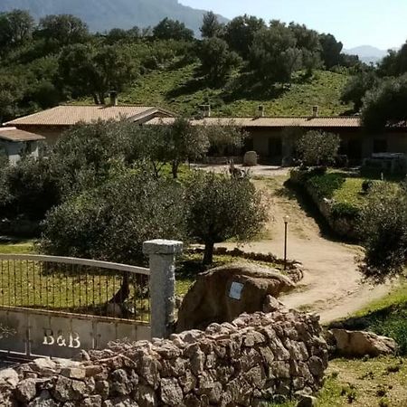 B&B Sa Mendula Oliena Exterior foto