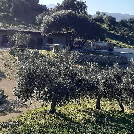 B&B Sa Mendula Oliena Exterior foto