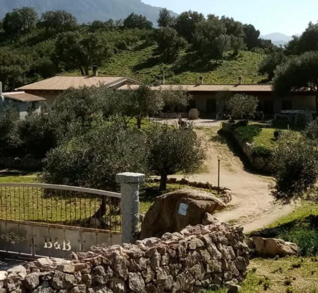 B&B Sa Mendula Oliena Exterior foto