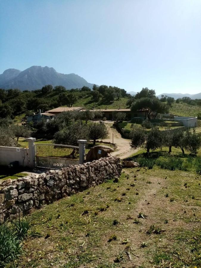 B&B Sa Mendula Oliena Exterior foto