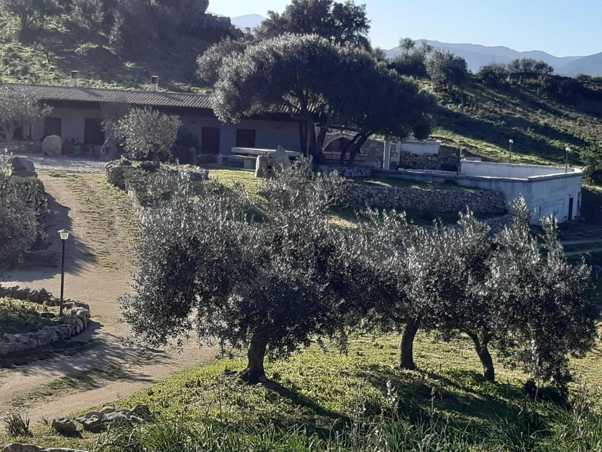 B&B Sa Mendula Oliena Exterior foto