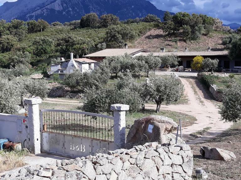 B&B Sa Mendula Oliena Exterior foto