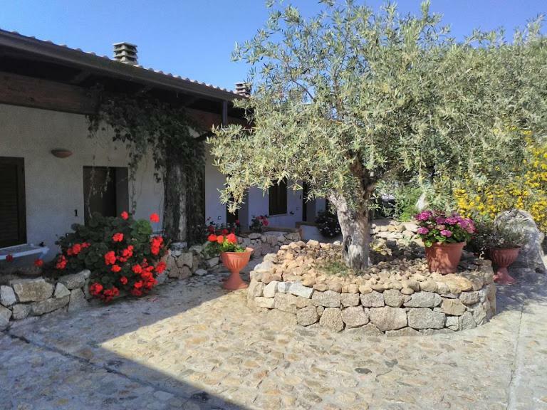 B&B Sa Mendula Oliena Exterior foto