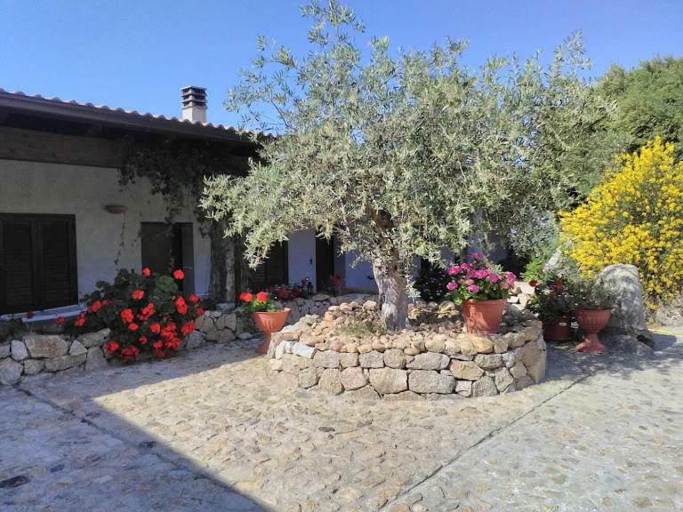 B&B Sa Mendula Oliena Exterior foto