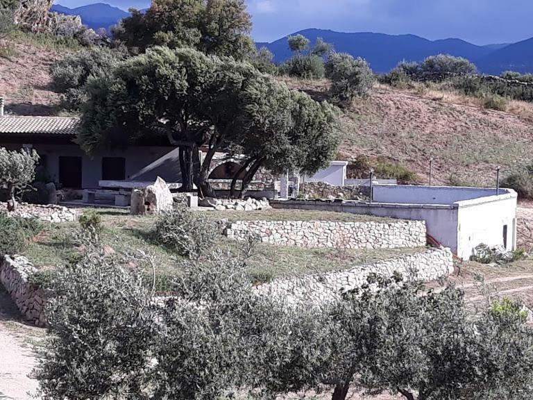 B&B Sa Mendula Oliena Exterior foto