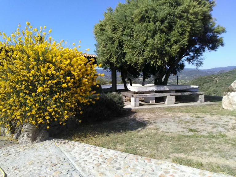 B&B Sa Mendula Oliena Exterior foto