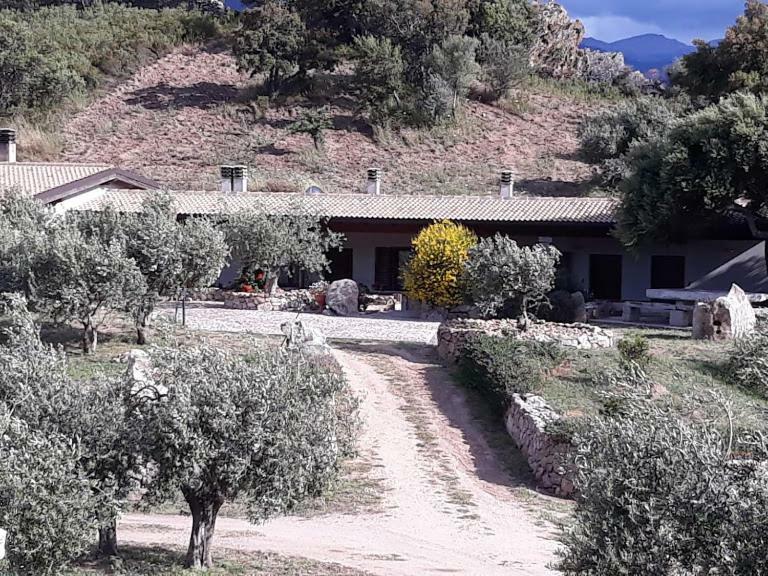 B&B Sa Mendula Oliena Exterior foto